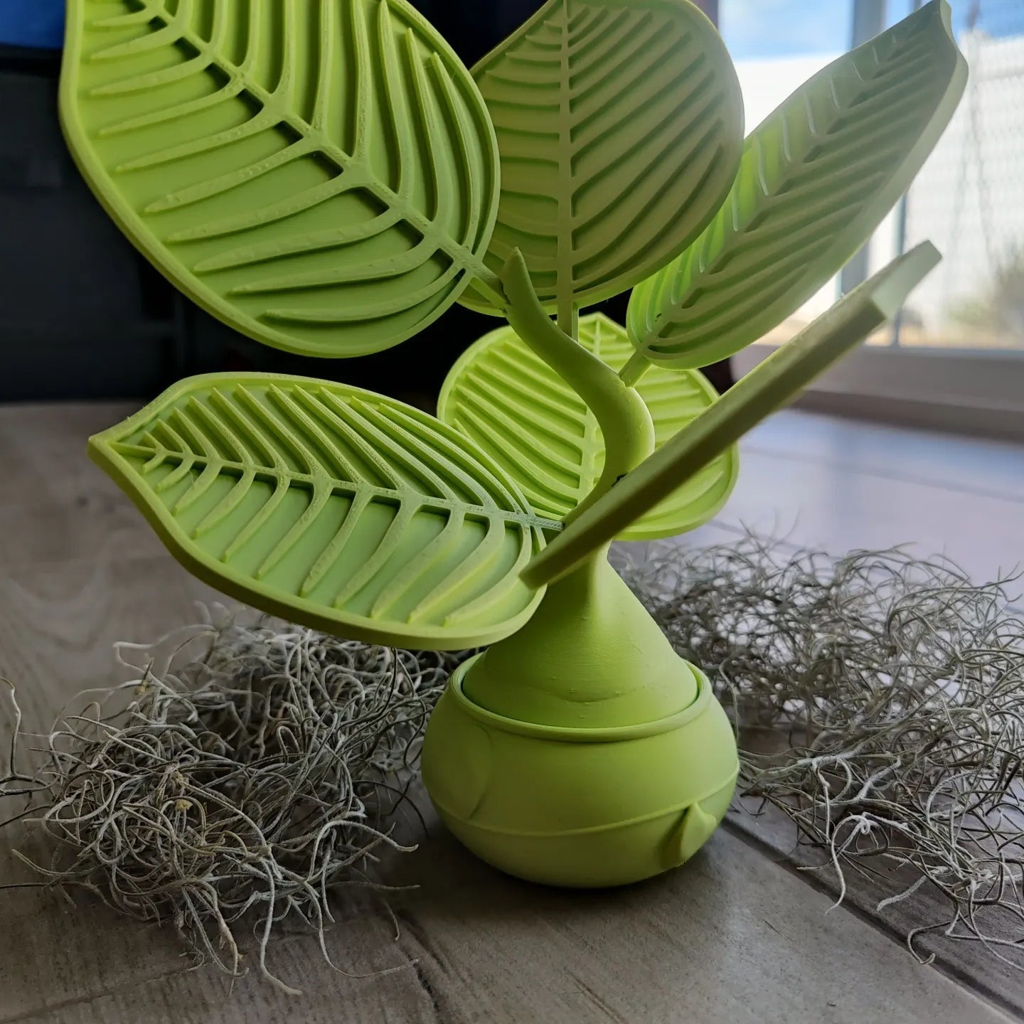 Monstera Leaf Drink Coasters x6 - My Store