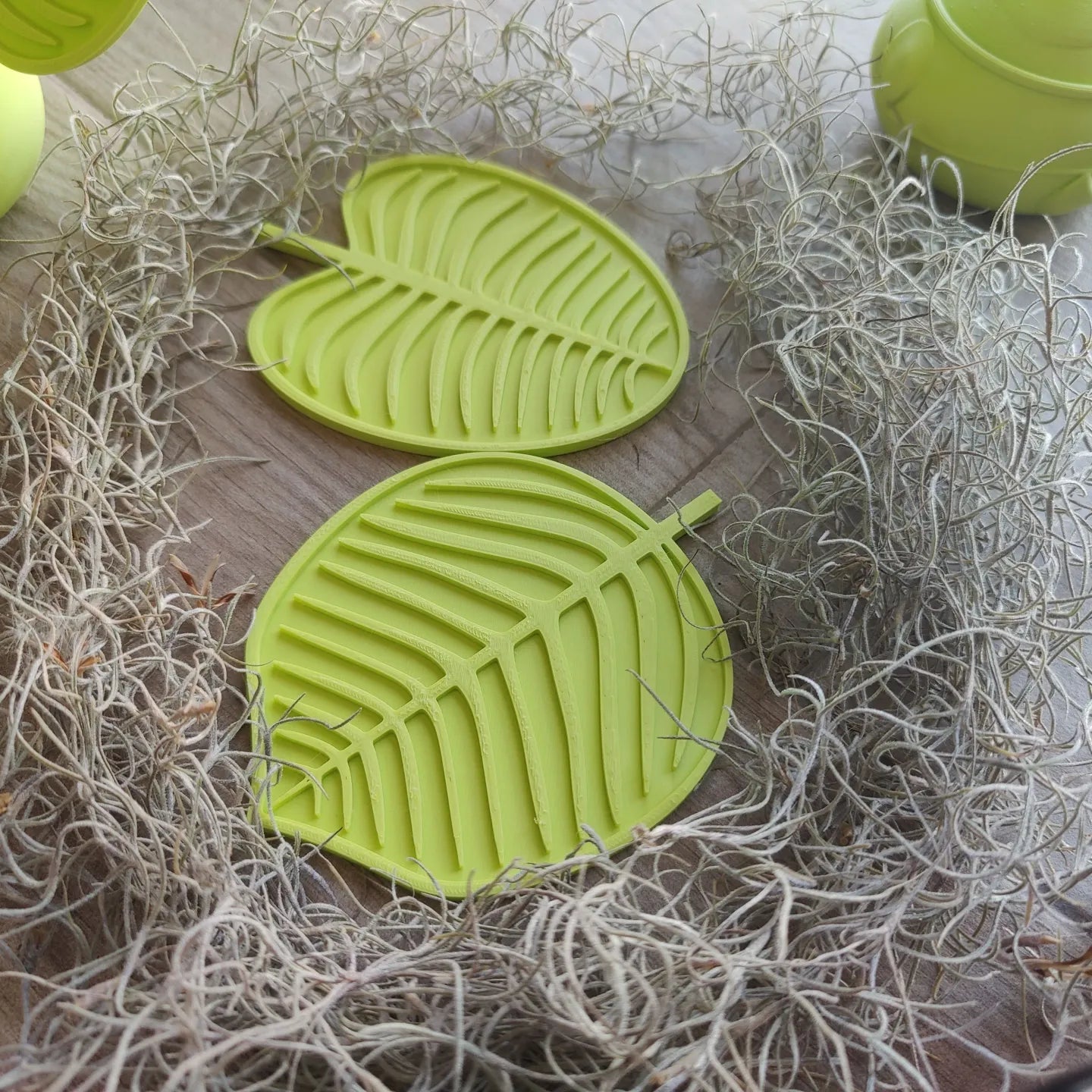 Monstera Leaf Drink Coasters x6 - My Store