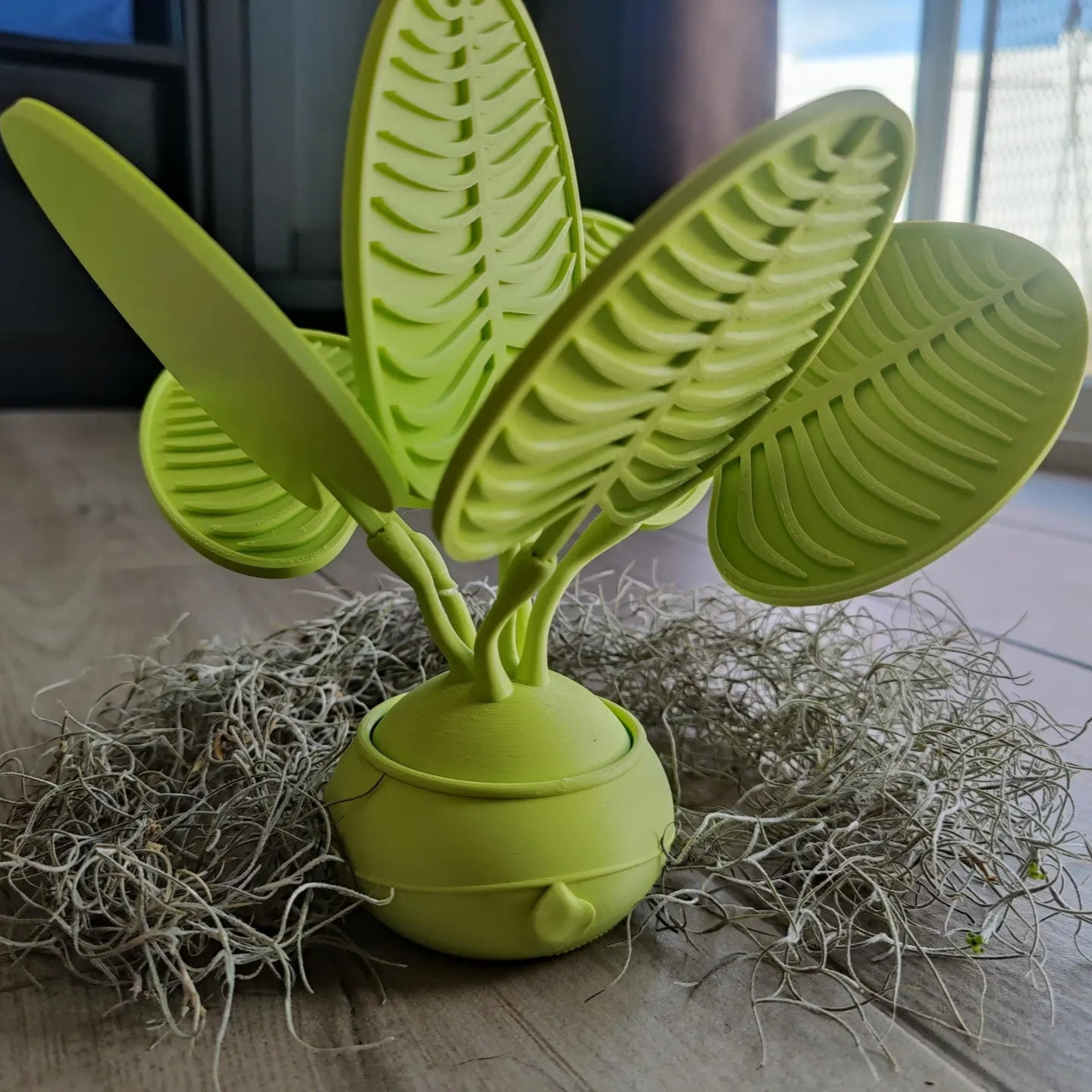 Monstera Leaf Drink Coasters x6 - My Store